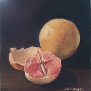 Mr Grapefruit still life oil painting by Julia Strittmatter